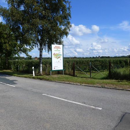Fewo Im Alten Land Hamburgo Exterior foto